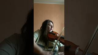 Fairytale Alexander rybak violin cover [upl. by Ecirtael]