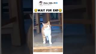 wait for end 😂😂😂 comedy billionaire funny [upl. by Caffrey]