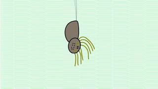 Electric fields elicit ballooning in spiders [upl. by Teodoro171]