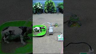 mini pump project  Mini water motor  mini motor project cow video  259 [upl. by Miyasawa950]