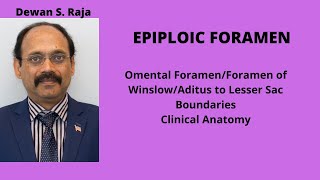 EPIPLOIC FORAMEN [upl. by Liagabba150]