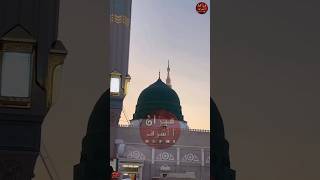 Aurato ke hukuk huzur ﷺ ne kase diye ytshorts weloveislam freepalestin love youtubeshorts live [upl. by Ecirtram]