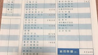 給与明細 みずほ証券の課長のめちゃくちゃな予測給料2024 [upl. by Daegal616]