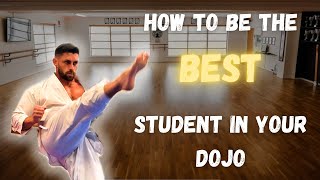 How to be the best student in your Karate Dojo [upl. by Sashenka]