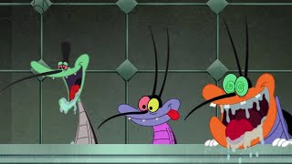 Oggy and the Cockroaches 😍 JACKOMEO AND BOBETTE 😍 Full Episodes HD [upl. by Santa631]