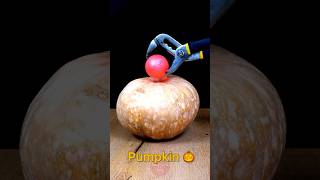 1000°C RHCB vs Pumpkin 🎃😱satisfying experiment science asmr [upl. by Ramaj]