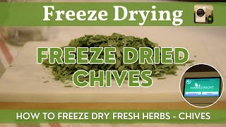 Freeze Dried Chives  Harvest Right FreezeDried Herbs  How to Freeze Dry Fresh Chives Step by Step [upl. by Heyes]