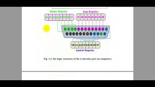 Parallel Centronic Port Interface  IKC  Zainab Mustafa [upl. by Kelcy]