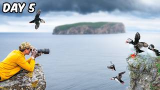 I Visited Norway’s Puffin Island [upl. by Charlean]