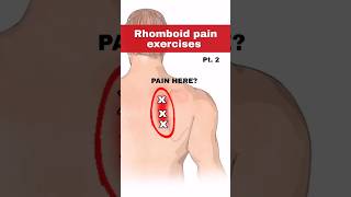 Rhomboid pain relief exercise [upl. by Noivad]