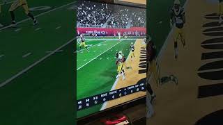 John Stallworth vs Jaire Alexander Madden 23 [upl. by Girand290]