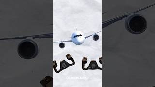 What happened in this situation on the airplane  DumbFoundFact [upl. by Nelrsa]