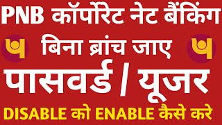 Pnb Corporate Internet Banking Disable Password Enable कैसे करें CUSER पासवर्ड Change कैसे करे 🤔🤔 [upl. by Byrom]