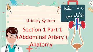 Abdominal Aorta  Anatomy P1 part1 الفيديو مليان نيمونكس لتسهيل الحفظ [upl. by Quillon]