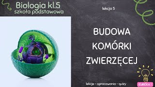 Biologia klasa 5  lekcja 5  Budowa komórki zwierzęcej [upl. by Enhpad770]