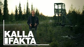 Kalla Fakta Lappjävlar  TV4 [upl. by Falito656]