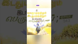 தமிழ் பைபிள் வசனம்  Tamil Bible Verse  Agape Ministries In India [upl. by Pentha]