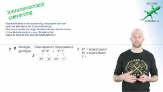 genetica  Xchromosomale kruising [upl. by Panter]