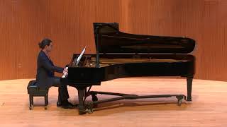 Beethoven Symphony No 9 for solo piano [upl. by Suiram]