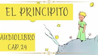 EL PRINCIPITO Cap 24 AUDIOLIBRO [upl. by Roque805]