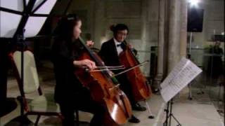 Barcarolle by cello duo [upl. by Illib]