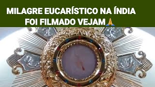 Milagre Eucarístico Na Índia Foi Filmado Vejam [upl. by Llenoil]