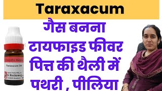 Taraxacum officinale homeopathic medicine  Taraxacum q uses in hindi [upl. by Marlo]