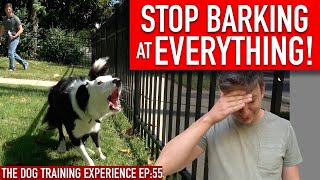 How to Train Your Dog to STOP BARKING at EVERYTHING That Moves [upl. by Dnalyar449]