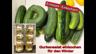 Erntezeit  Einkochzeit Gurkensalat einkochen für den Winter [upl. by Gignac240]