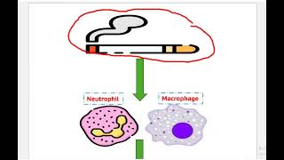 COPD part one [upl. by Marlea]