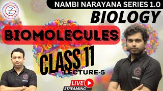 BIOMOLECULES  Class  11  Chapter 09  Lecture 5  By Ashutosh Sir [upl. by Teferi102]