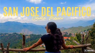 San José del Pacífico Oaxaca  Las mejores cabañas y puentes colgantes [upl. by Ahseinod]