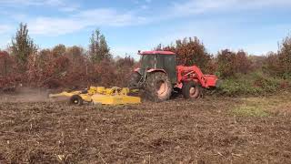 BushWhacker HD121P rotary cutter in action [upl. by Mayram]