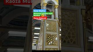 Sonar Madina shortvideos love qurantilawat dinner [upl. by Ahsiekat64]