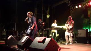 Horace Andy  In The Light Live  Reggae Jam 2009 [upl. by Stoops]