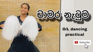 OL dancing practical 20232024  චාමර නැටුම [upl. by Audras]