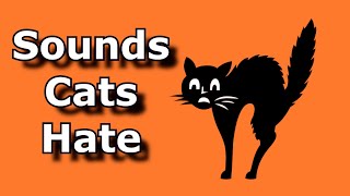 SOUNDS CATS HATE  Sound To Scare Cats and Dogs  Ultrasonic Alarm To Scare Off Animals [upl. by Assyla]