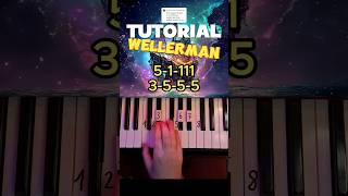 Wellerman Piano Tutorial shorts [upl. by Adnamal]