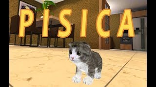 Jocuri simulator cu pisici care se joaca  Cat Simulator [upl. by Esorylime722]