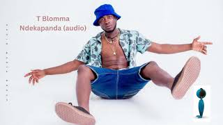 T Blomma  Ndekapanda audio  Light Studio Namibia Upcoming artists [upl. by Forsta]