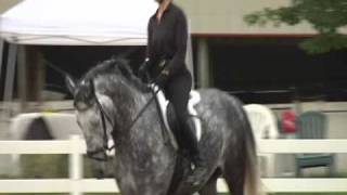 The 2 Minute How To Improve Your Position Over Jumps with Greg Best clinic H 264 [upl. by Julianna]