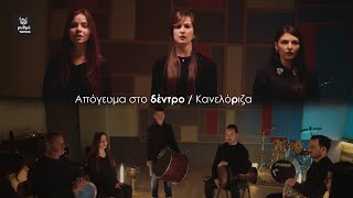 Απόγευμα στο δέντρο  Κανελόριζα cover Percussions amp Voices [upl. by Enillebyam825]