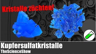 Kupfersulfatkristalle züchten  TheScienceShow [upl. by Lucina854]