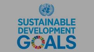 Sustainable Development Goals 2030 The Zimbabwe We Want [upl. by Eillak]