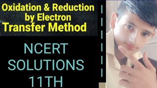 Redox Reaction l Compititive Electronic Transfer Reactions l Class 11 Chemistry l NEET 20242025 [upl. by Millwater]