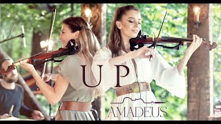 UP  Amadeus Original Song  A Concert in Nature [upl. by Inami]