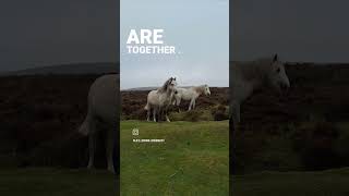 Life is beautiful carding mill valley unitedkingdom [upl. by Starla]