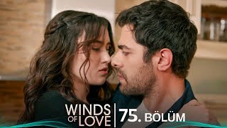 Rüzgarlı Tepe 75 Bölüm  Winds of Love Episode 75 [upl. by Gyimah129]