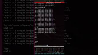 Basic Data Review of Firmware Image [upl. by Cantone141]