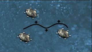 WSO Water Treatment Grade 1 Coagulation amp Flocculation Ch 8 [upl. by Laddy]